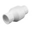 2" IPS PVC Spring Check Valve w/ 1/2# Spring (Threaded)