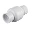 2" IPS PVC Spring Check Valve w/ 1/2# Spring (Threaded)