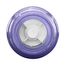 2" PVC IPS Clear Spring Check Valve (Socket)