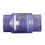 2" PVC Clear Spa Spring Check Valve (5 lbs)