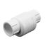 1" IPS PVC Swing Check Valve (Socket)