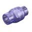 1-1/2" IPS PVC Clear Swing Check Valve (Socket)