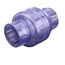 2" IPS PVC Clear Swing Check Valve (Socket)