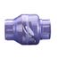 2" IPS PVC Clear Swing Check Valve (Socket)