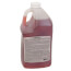 NICKEL GUARD Liquid Ice Machine Cleaner, 1 Gal.
