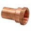 1/2" FTG x 3/8" Female Street Extended Adapter (Lead Free)