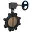 4" Lug Ductile Iron Butterfly Valve, EPDM, Gear Handle (200 PSI)