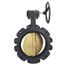4" Lug Ductile Iron Butterfly Valve, EPDM, Lever Handle (200 PSI)