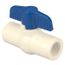 2" SCH 40 PVC Ball Valve, 4660T (Threaded)