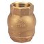 1" Threaded Bronze Ring Check Valve, T-480