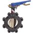 2-1/2" Ductile Iron Butterfly Valve, Lug Type, 200 PSI, LD-2100 (Lug)