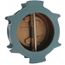 6" Twin Wafer Cast Iron Silent Check Valve, Class 125 (Lead Free)