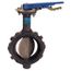 2" Wafer Ductile Iron Butterfly Valve, SS EPDM, Lever Handle (250 PSI)
