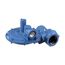 2" Gas Regulator, 7/8" Orifice, Gray 4"-10" WC