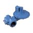 2" Gas Regulator, 7/8" Orifice, Gray 4"-10" WC
