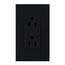 Architectural 15A Duplex Receptacle, 125V,w/ Wall Plate,w/ Wall Plate, Matte Finish, Black