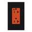 Architectural 20A Isolated Ground Duplex Receptacle, Orange Outlet, Color Code for Included Wall Plate, Matte Finish, Black