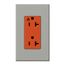 Architectural 20A Isolated Ground Duplex Receptacle, Orange Outlet, Color Code for Included Wall Plate, Matte Finish, Gray