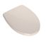 SS124#12 Softclose Non Slamming, Slow Close Elongated Toilet Seat & Lid (Sedona Beige)
