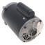 Oil Burner Motor - 1/2 HP, 3600 RPM, 1 PH, Selective CCW (115/208-230V)