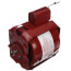 5-5/8" Hot Water Circulator Motor (115V, 1725 RPM, 1/8 HP)