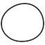 Replacement O-ring for 10" x 4-1/2" Undersink and Whole House Water Filtration Systems (Pack of 2)