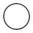 Body Gasket (Series 100)