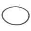 Body Gasket (Series 100)