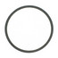 Body Gasket (PR, 2-1/2", LD-3, HD-3)