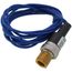 Pressure Switch, Open at 150 PSIG