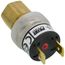 Open-High Switch Action Encapsulated SPST Pressure Contol with Automatic Reset and Open Contruction