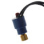 Open-High Switch Action Encapsulated SPST Pressure Contol with Manual Reset Lockout and Open Contruction