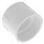 1-1/2" PVC DWV Female Adapter