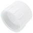 3" PVC DWV Female Adapter