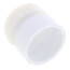1-1/4" PVC DWV Female Trap Adapter w/ Plastic Nut (Hub x Slip)
