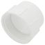 1-1/2" PVC DWV Fitting Cleanout Adapter