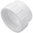 2" PVC DWV Fitting Cleanout Adapter