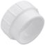 2" PVC DWV Fitting Cleanout Adapter
