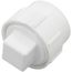 1-1/2" PVC DWV Fitting Cleanout Adapter w/ Plug