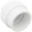 1-1/2" PVC DWV Fitting Cleanout Adapter w/ Plug