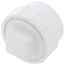 2" PVC DWV Fitting Cleanout Adapter w/ Plug