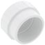 2" PVC DWV Fitting Cleanout Adapter w/ Plug