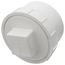 4" PVC DWV Fitting Cleanout Adapter w/ Plug