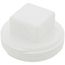 2" PVC DWV Cleanout Plug