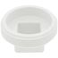 2" PVC DWV Cleanout Plug