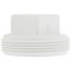 2" PVC DWV Cleanout Plug
