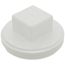 3" PVC DWV Cleanout Plug