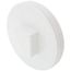 6" PVC DWV Cleanout Plug