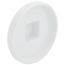 6" PVC DWV Cleanout Plug