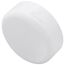 2" PVC DWV Cap